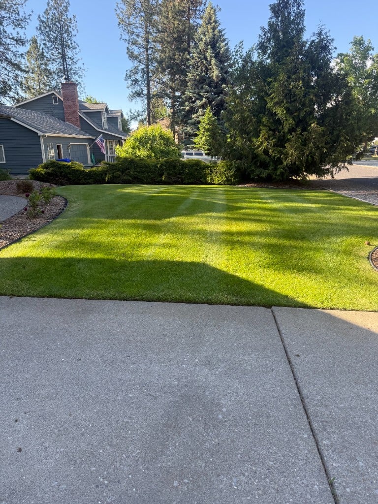 Professionally mowed suburban front yard in Deer Park, WA by Local Boys Lawn Care