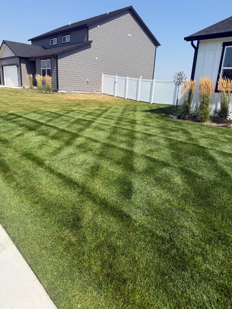 Suburban lawn mowed in a diamond stripe pattern